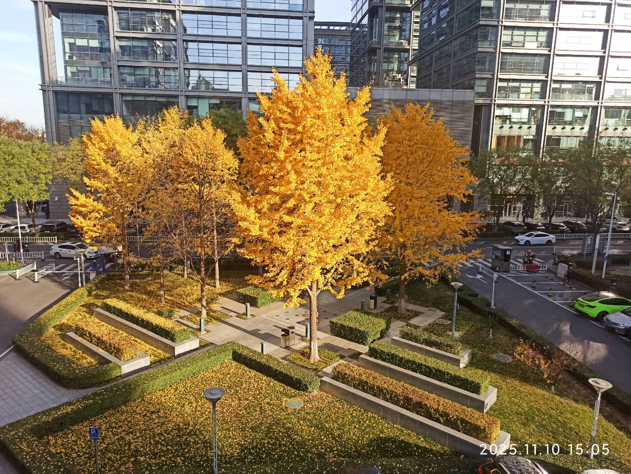 兩性篇章：破解相愛容易相處難的秘籍