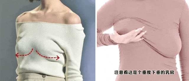 平價內衣的神，適合秋冬的內衣長這樣