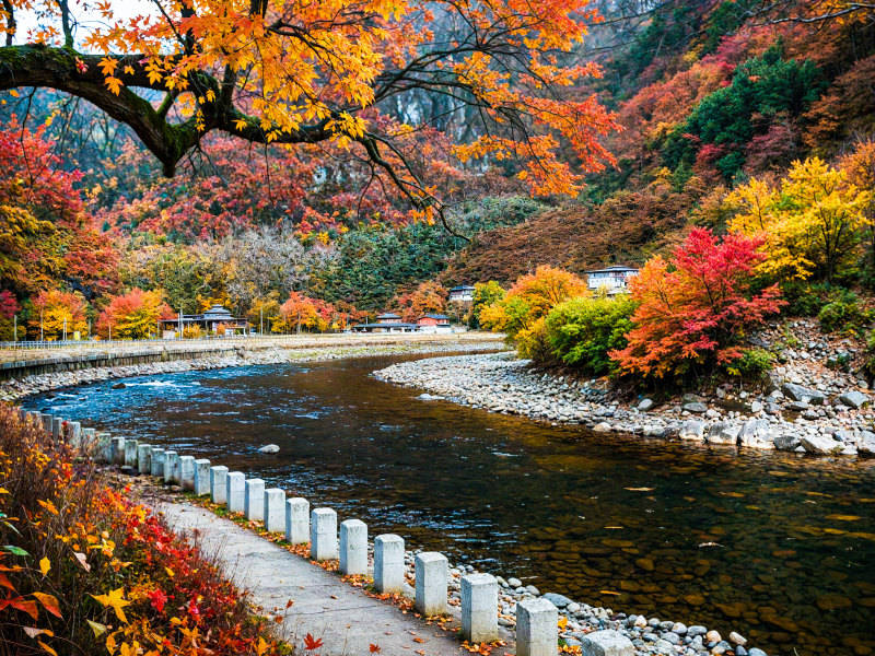 2025影像盤點 | 與山河同呼吸——攝影師 張雲霞