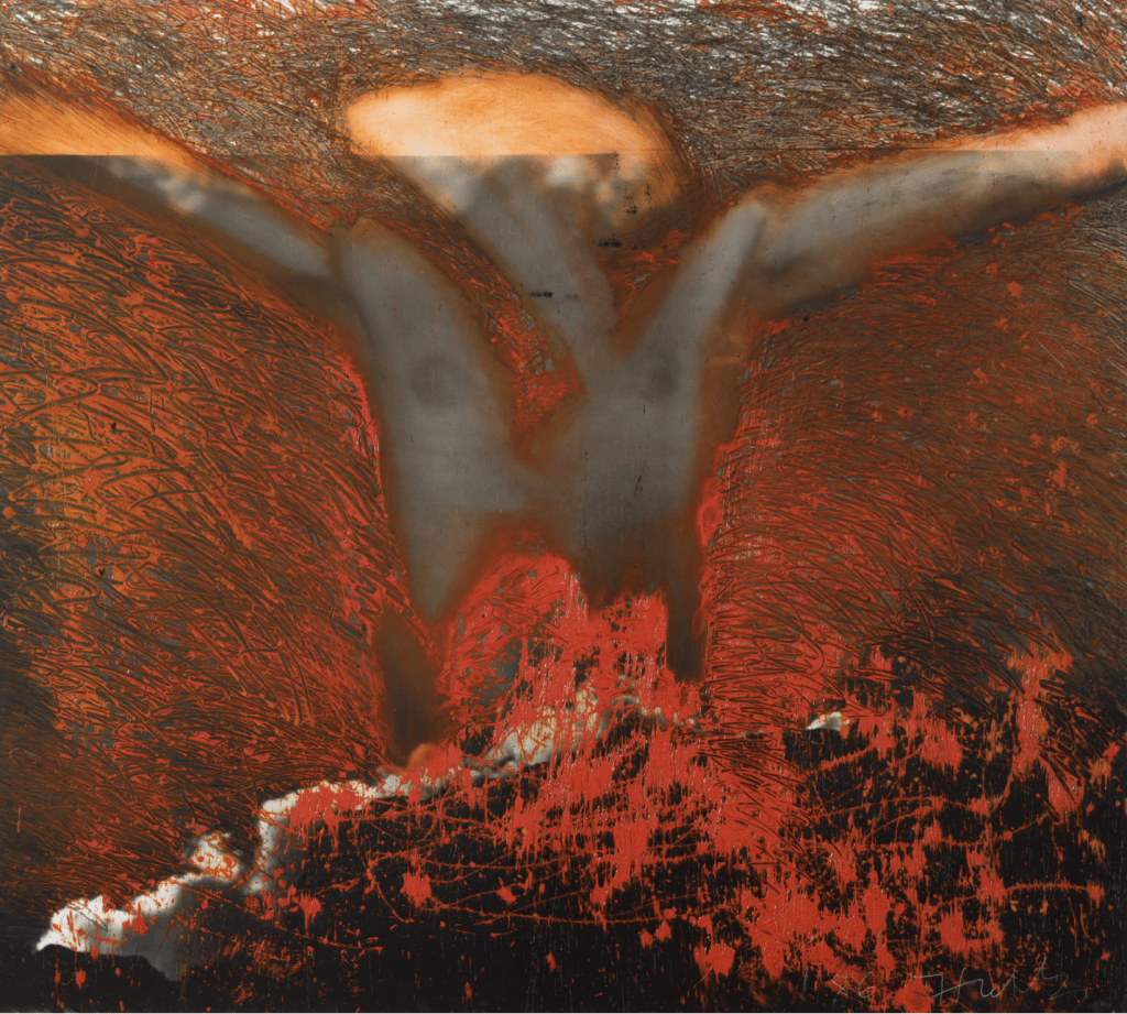 攝影收藏㊱｜金大洙：韓國設立“藝術銀行”推動收藏