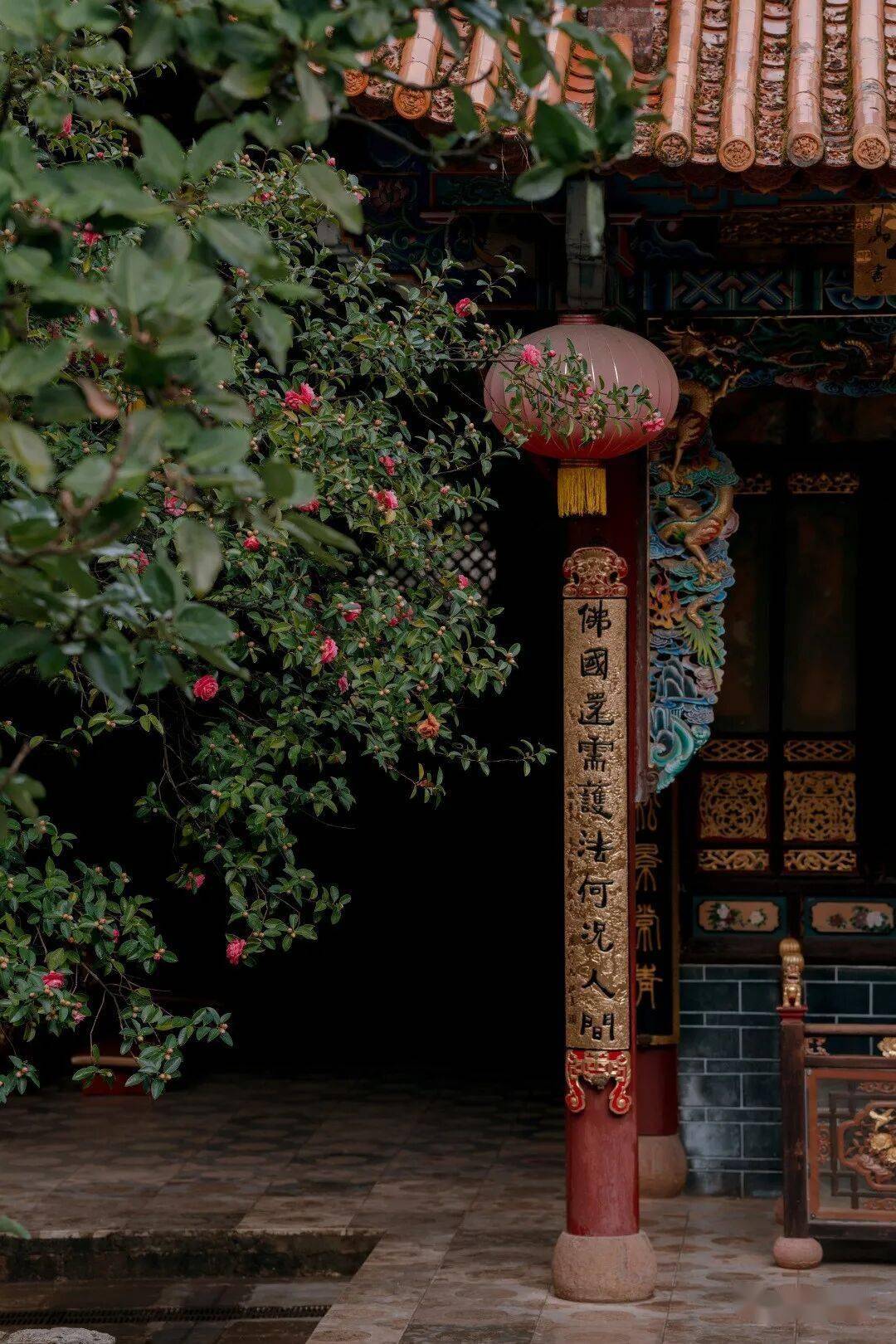 必須收藏！絕美！絕美！誰能拒絕這波中式美學？昆明超詳細賞梅攻略來了，包出片！