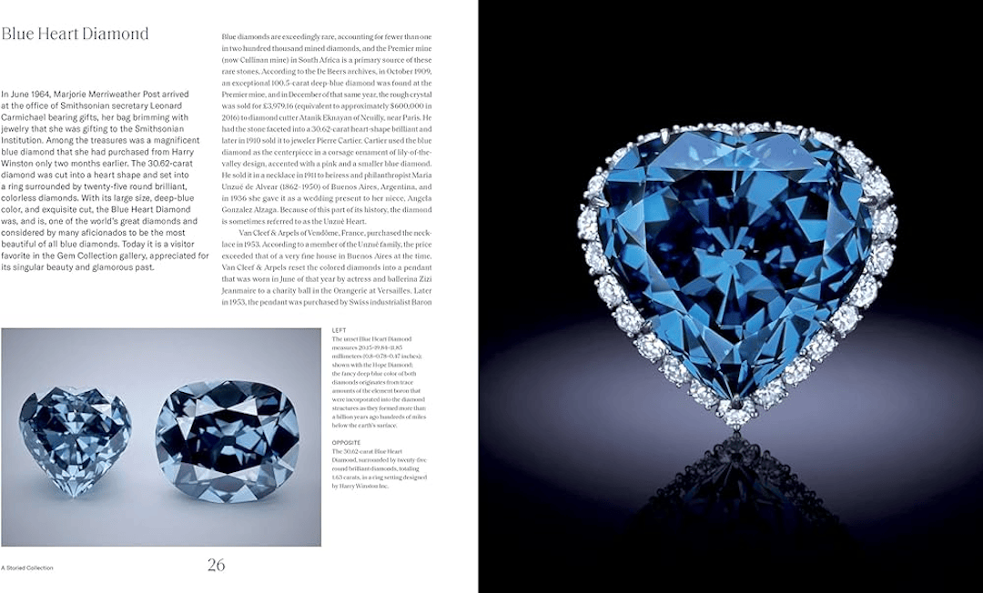 原創特朗普海湖莊園是誰建的？卡地亞頂層收藏家