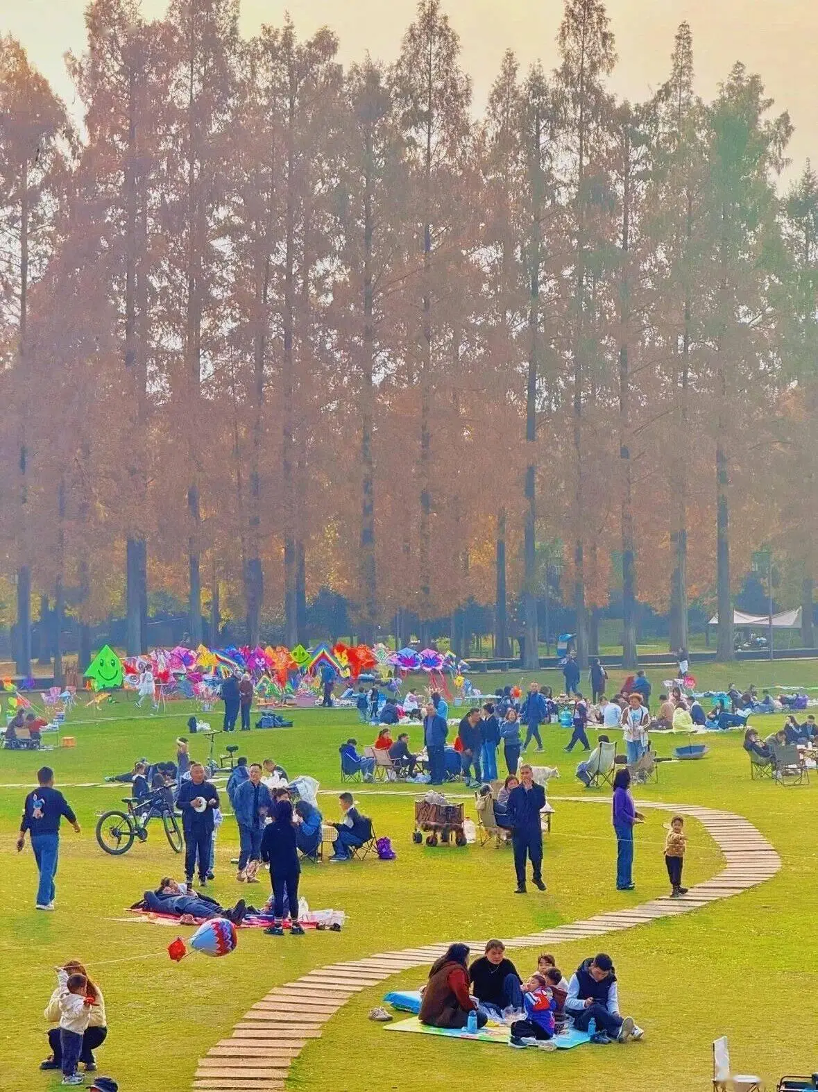 收藏！都江堰幸福感爆棚的曬暖好去處