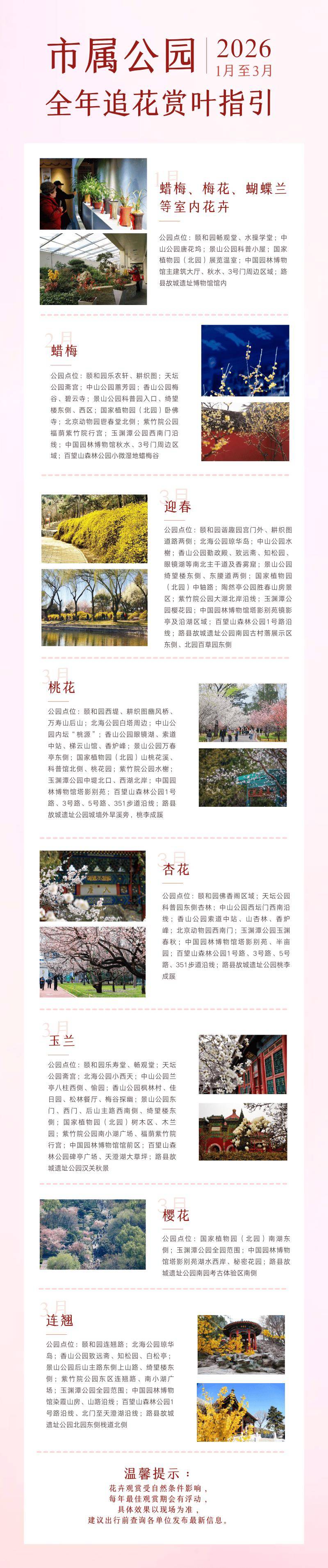 收藏！北京市2026全年追花賞葉指引，最佳觀賞點→