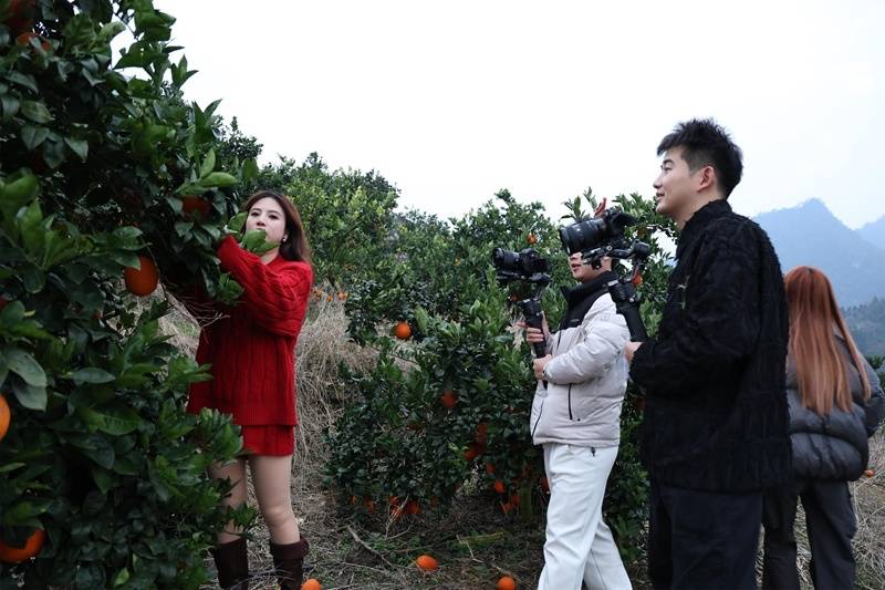 從山水秘境到舌尖盛宴 旅遊達人在羅甸邂逅“橙”意暖冬