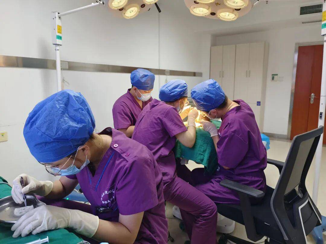 北海醫院整形美容外科正式開診，以醫學專業守護顏值與健康