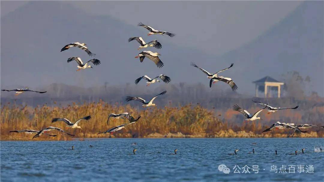 國際旅遊攝影網2026年國內外攝影路線全景指南