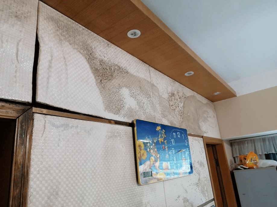 鄰里漏水爭執不休！深圳法官出招：讓他倆組隊裝修