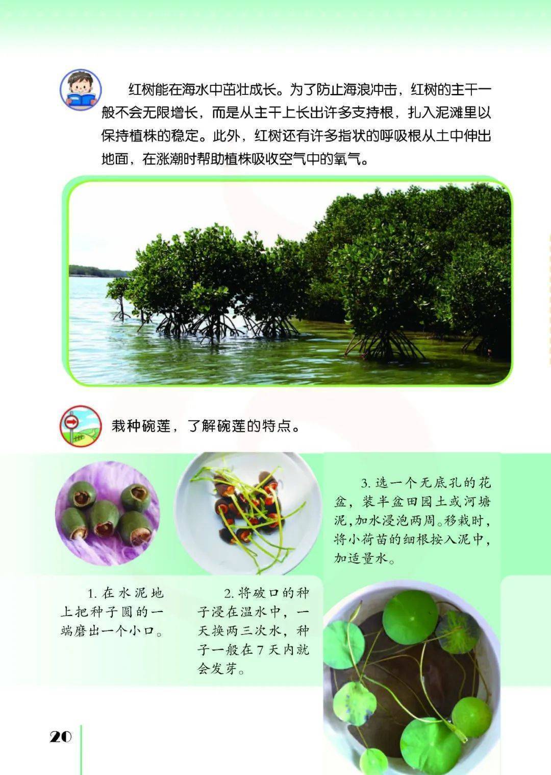 2026蘇教版五年級科學下冊電子課本(PDF高畫質版新教材)