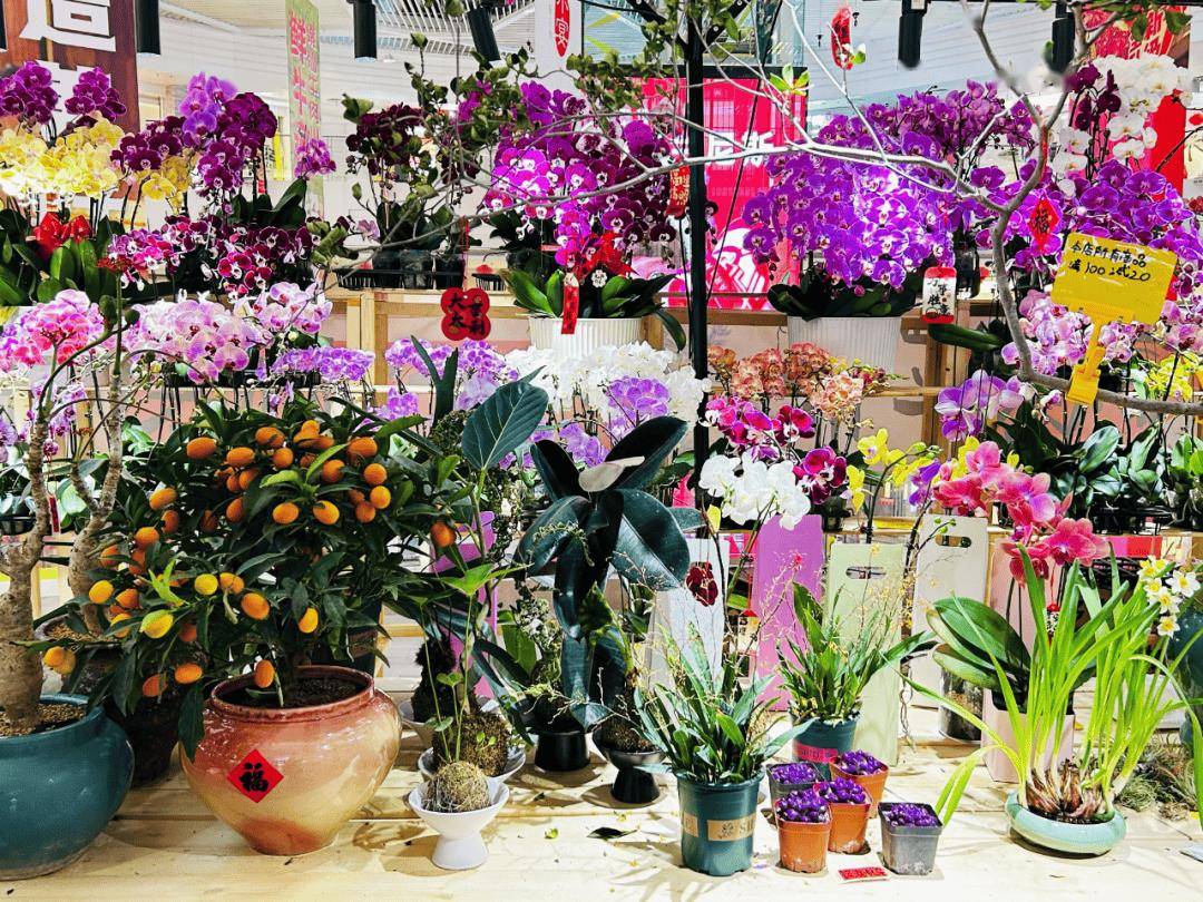 收藏！2026北京各大商圈春節活動彙總來了