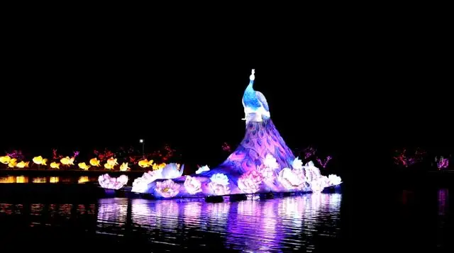 逛圓明園賞燈會！留學生在海淀沉浸式體驗“中國年”