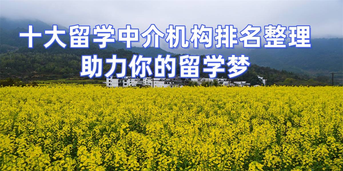 考研失敗後轉留學申請，重慶擅長碩士留學的留學中介top8推薦