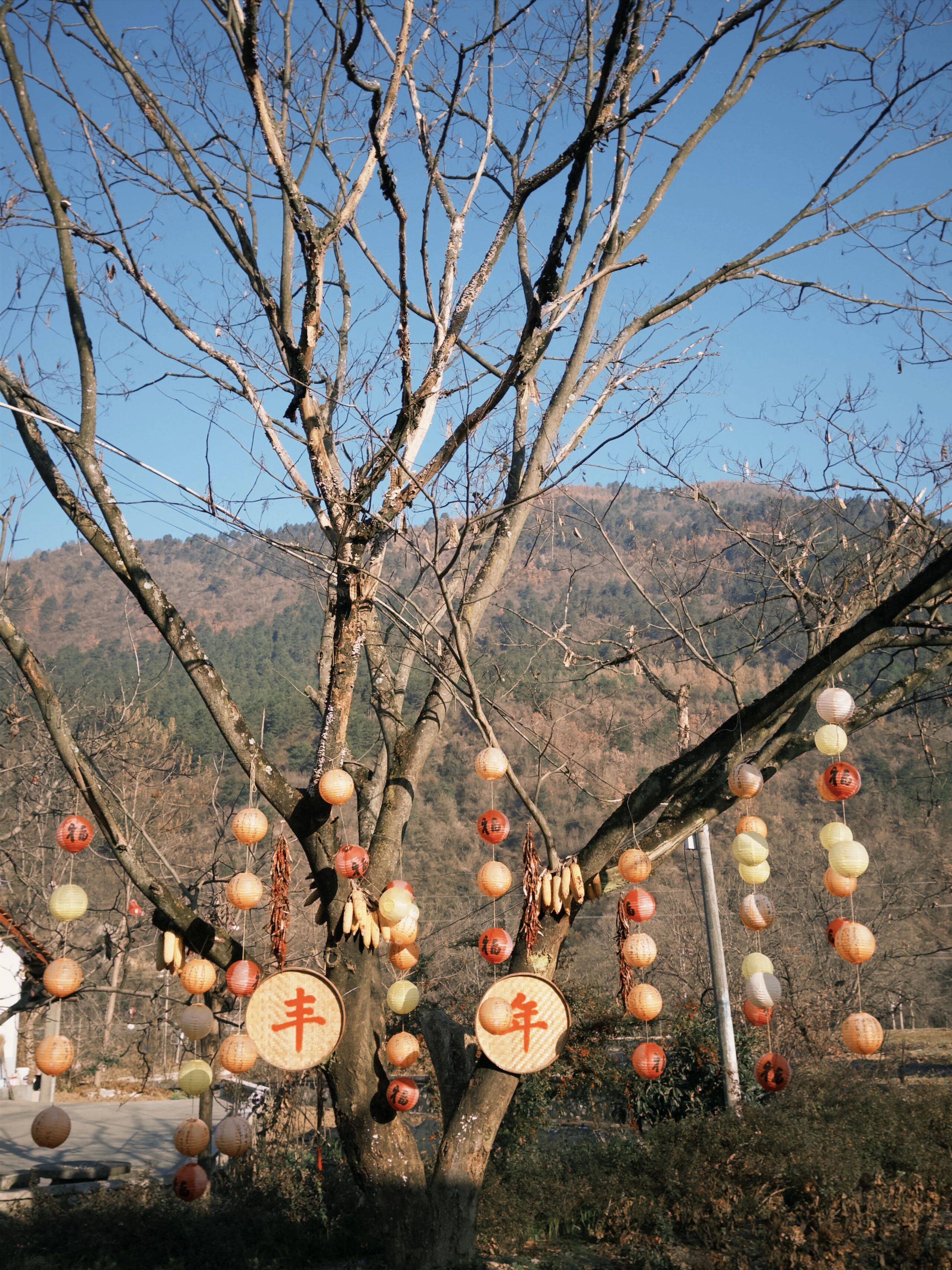 留壩新年美食大賞，哪一道最夯？