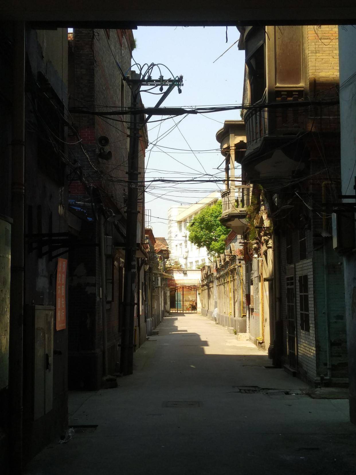 原創從大熊貓的天然黑土皮膚，看順德美食如何用AI守護原汁原味