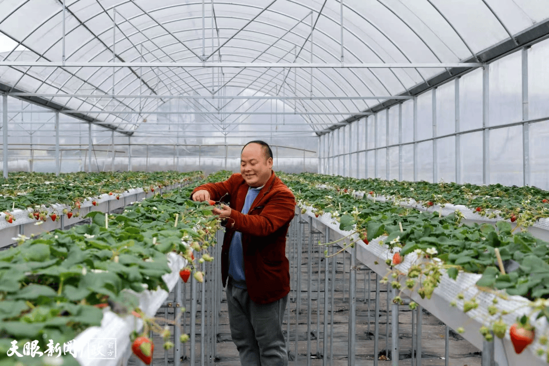 看見這雙手，我們讀懂了什麼叫“把論文寫在大地上”